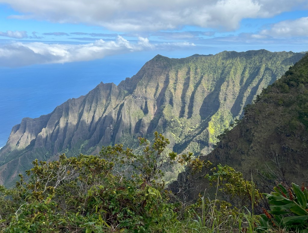 Spectacular view of Kauai's fluted Na Pali Coast cliffs and Kalalau Valley from Kalalau Lookout, showing distinctive ridged volcanic formations and lush green valleys