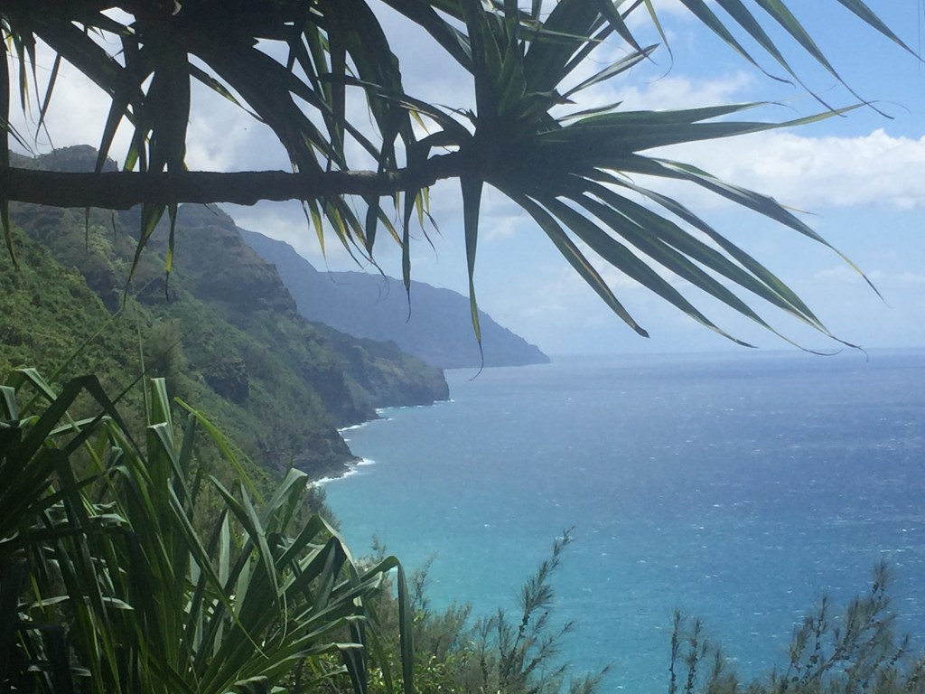 Top Hikes in Kauai: Explore the Best&nbsp;Trails