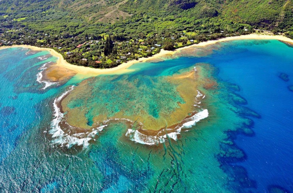 An aerial view of the turquoise and deep blue waters and large brown coral reef crescent formation with golden sands, houses, and lush green vegetation alongside Tunnels Beach on Kauai