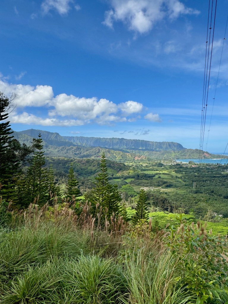Panoramic view from an elevated vantage point on Kauai showing the island's diverse landscape, with the dramatic fluted ridges of the Na Pali mountains rising in the background. The foreground features wild grasses and native vegetation, while the middle distance reveals a patchwork of lush green valleys, agricultural fields, and tropical forests stretching toward the Pacific Ocean. Power lines cross the frame, indicating this scenic overlook is accessible by road. Puffy white clouds drift across the bright blue sky above this quintessential Hawaiian landscape that showcases Kauai's nickname as the Garden Isle.