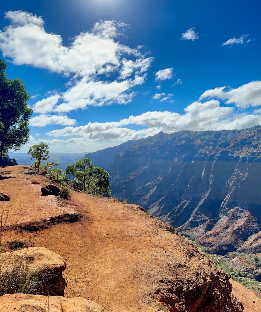 Waimea Canyon's red and orange rock layers with deep gorges and distant blue mountains