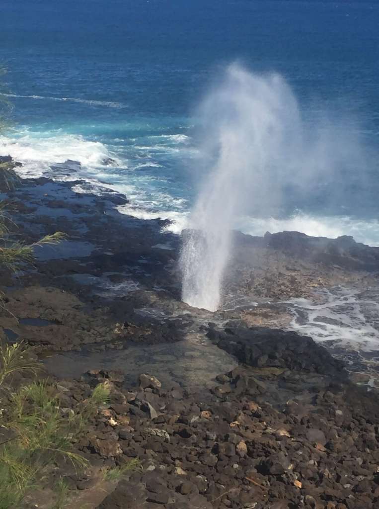 Spouting Horn blowhole erupting on Kauai's South Shore, shooting a tall column of ocean water into the air from a natural lava tube on the rocky coastline near Poi'pu, with deep blue Pacific waves crashing against the surrounding lava shelf.