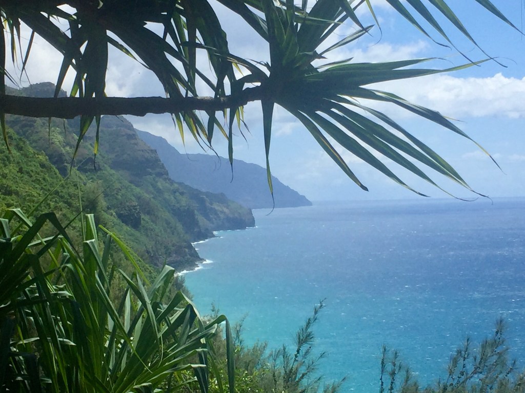 High clifftop view of Na Pali Coast's rugged green ridges and pristine blue waters through native Hawaiian plants as seen from the Kalalau trail