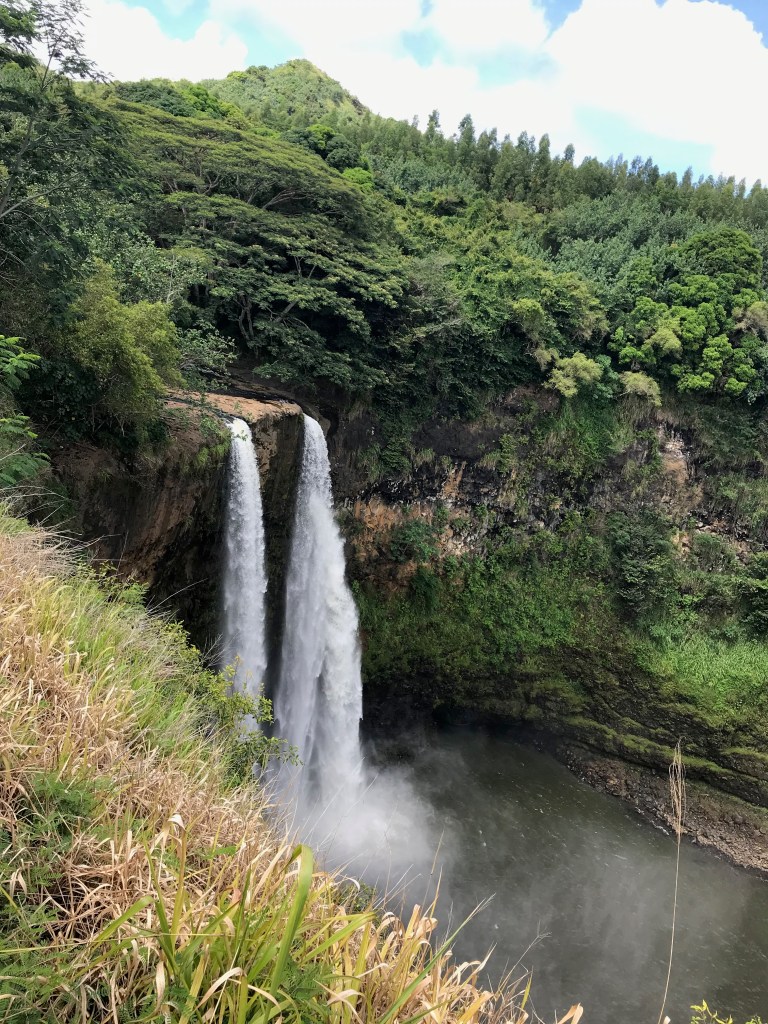 Wailua Falls cascading 80 feet into a circular pool surrounded by tropical vegetation