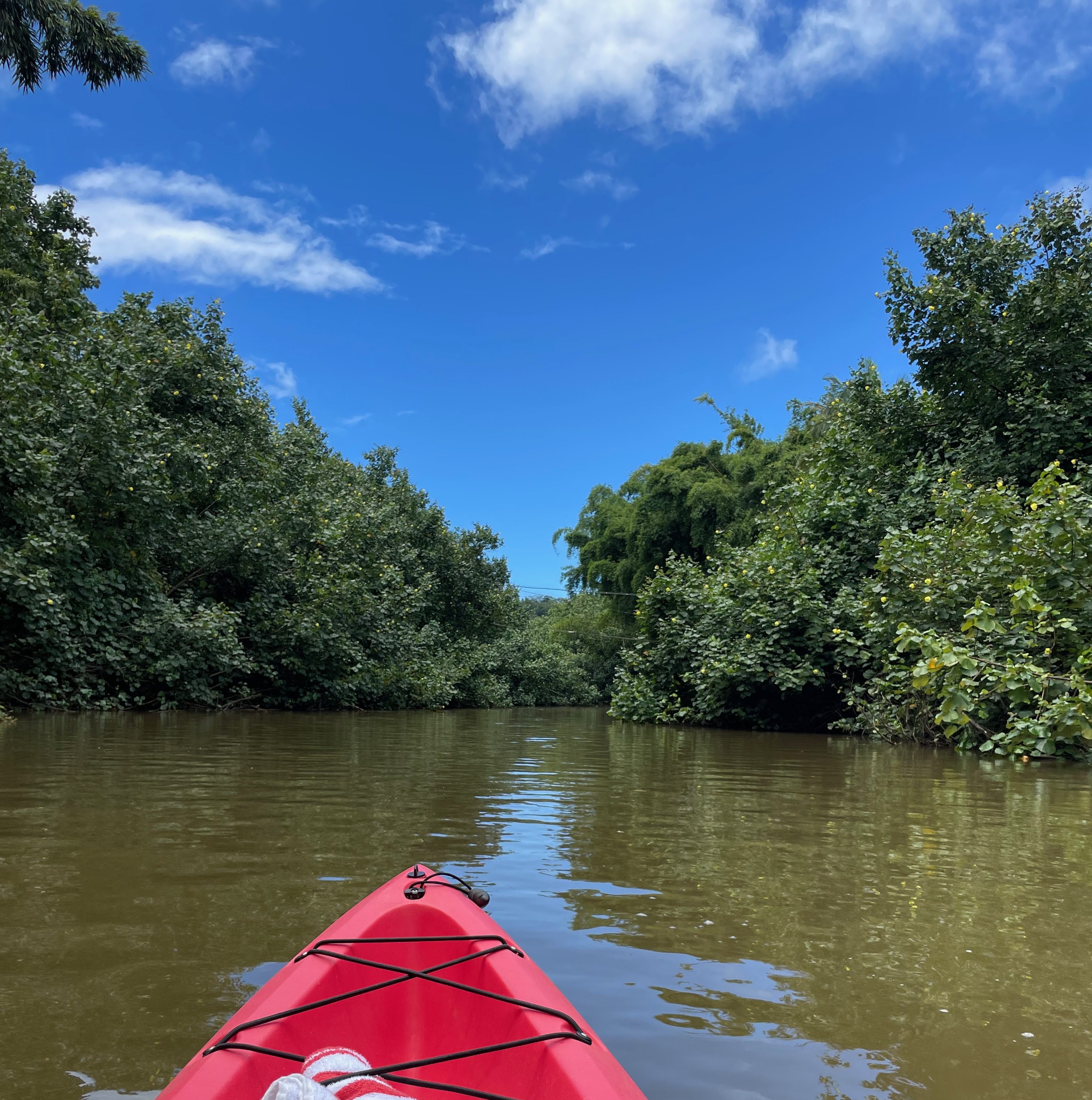 The view from the bow of a red kayak paddling up the Hanalei River on Kauai's North Shore, with lush tropical vegetation closing in on both sides of the calm river under a bright blue summer sky.