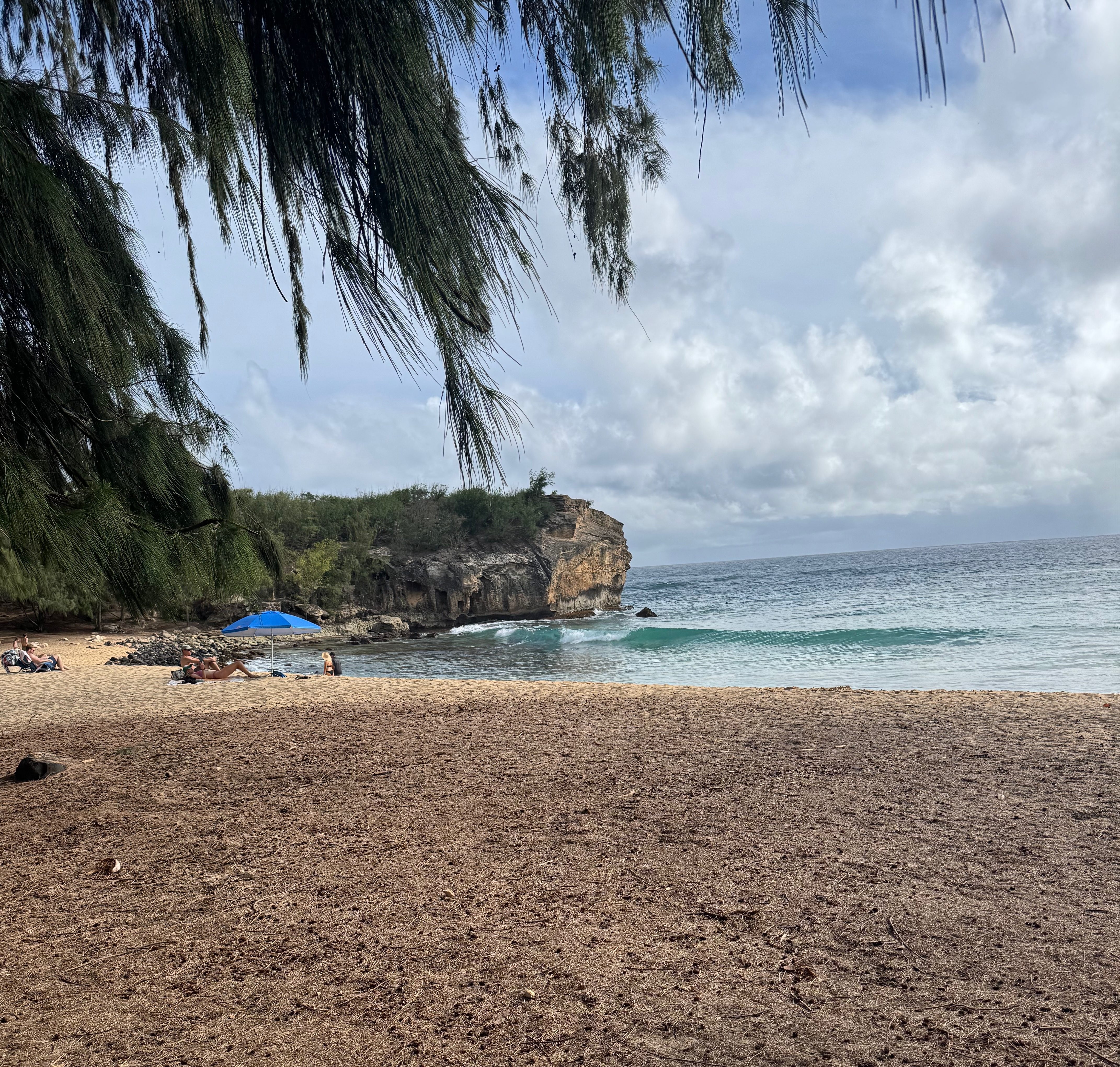 Looking toward the limestone sea cliffs at the eastern end of Shipwreck Beach on Kauai's South Shore, with ironwood tree needles covering the sand in the foreground, a blue beach umbrella near the rocks, and the Pacific Ocean beyond.