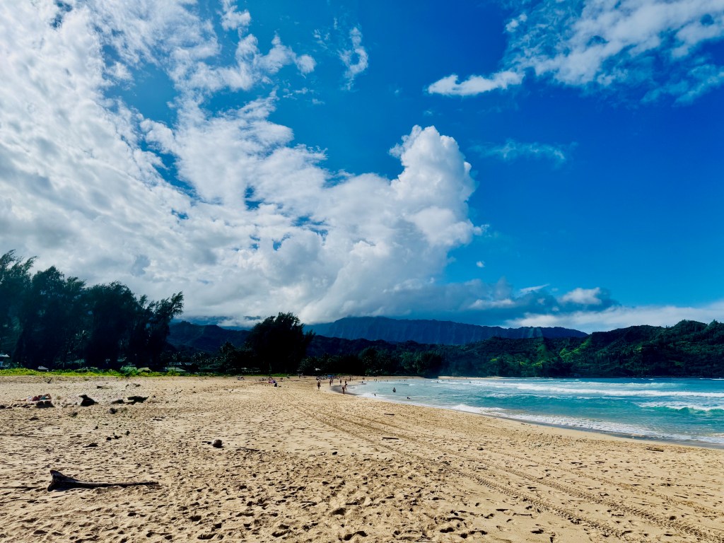 Hanalei Beach on Kauai's North Shore on a sunny summer day, showing the wide sweep of golden sand, turquoise water with gentle surf, and the lush green mountains rising behind the ironwood treeline under a dramatic blue sky with billowing clouds.