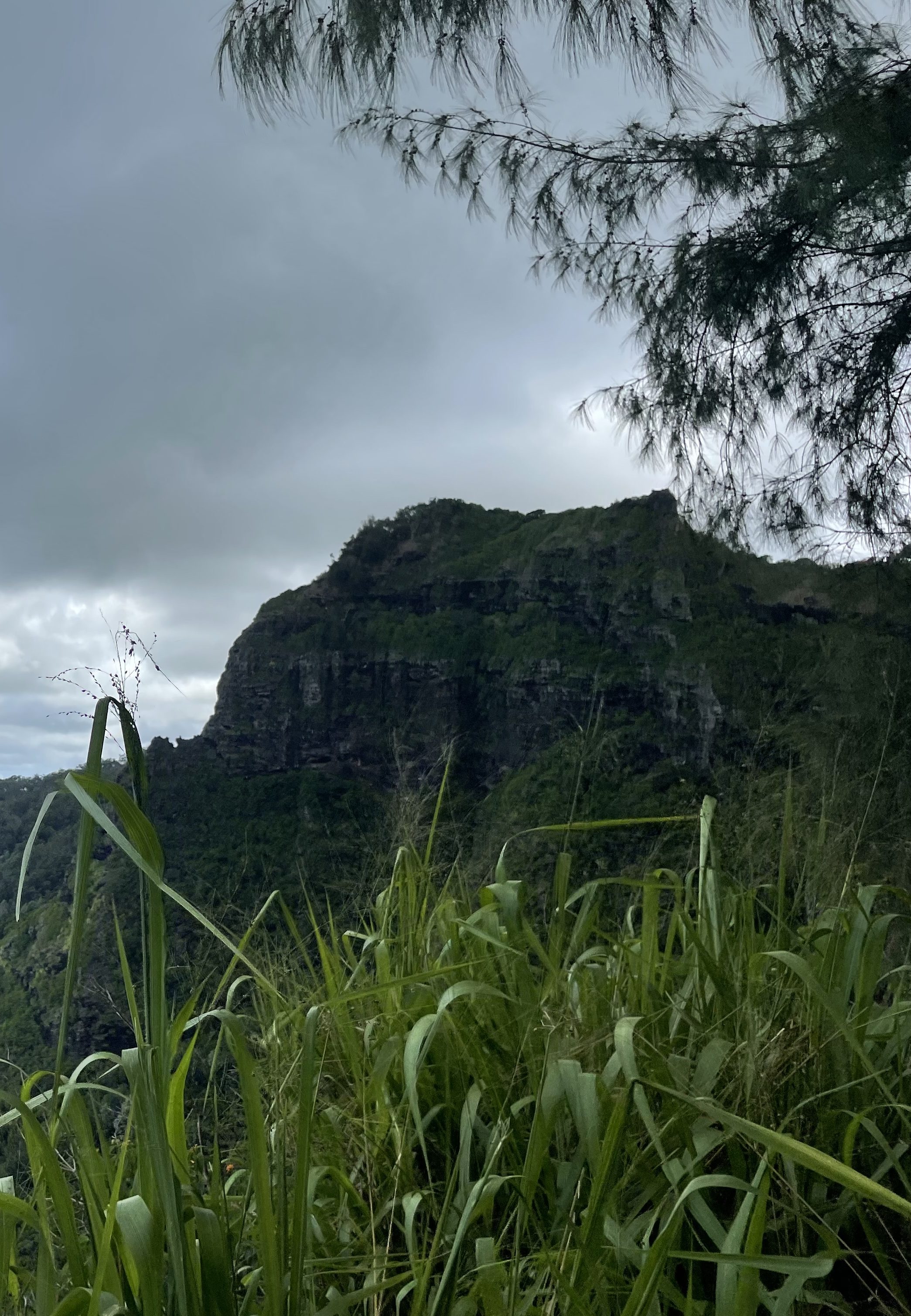 The head of the Sleeping Giant mountain is visible from the East Trail under a mostly cloudy sky